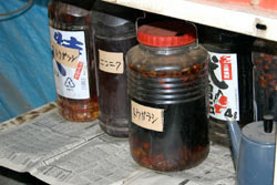 須藤農園